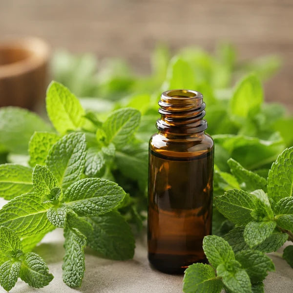 🌿 HUILE ESSENTIELLE DE MENTHE POIVRÉE